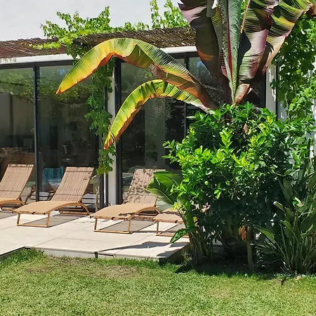 5 Stars At The End Of Golf *