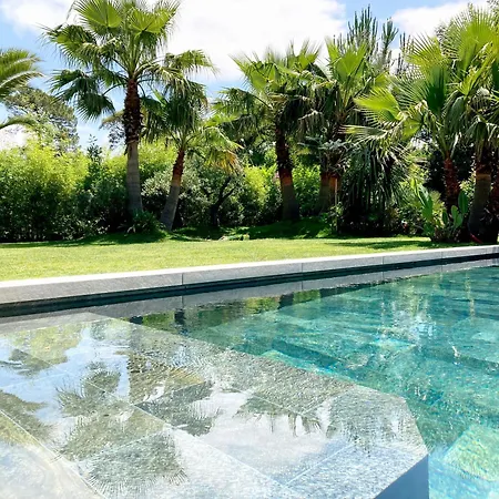 5 Stars At The End Of Golf